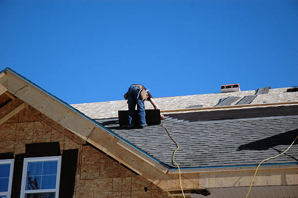 Best Sheet Metal Roofing  in Pine Bluffs, WY